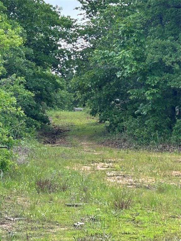 view of undeveloped land