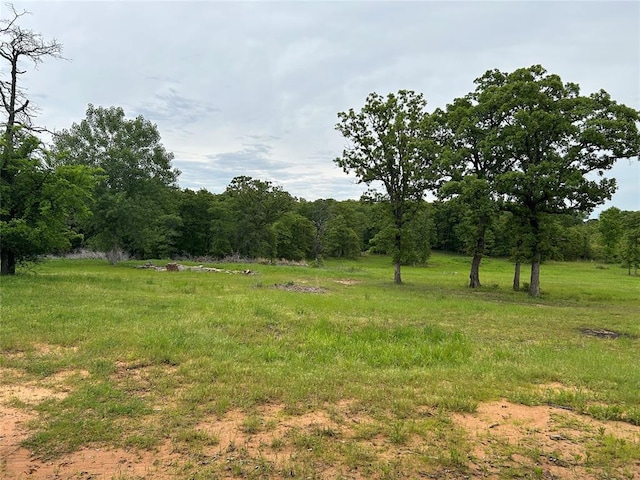 view of wooded area with a rural view