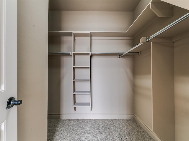 spacious closet featuring carpet