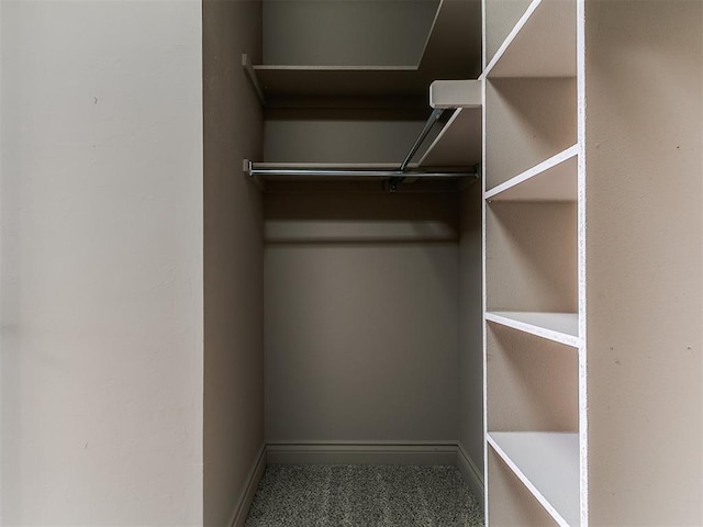 spacious closet with carpet floors