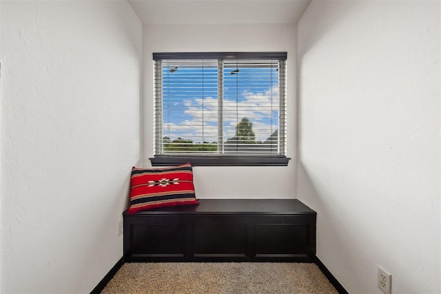 1401 Canyon Bridge Ln, Edmond, OK 73034 - sitting room featuring baseboards and light colored carpet