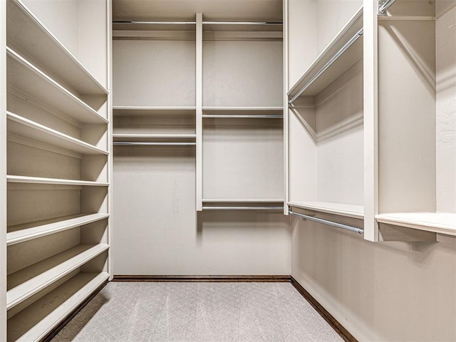 spacious closet with carpet