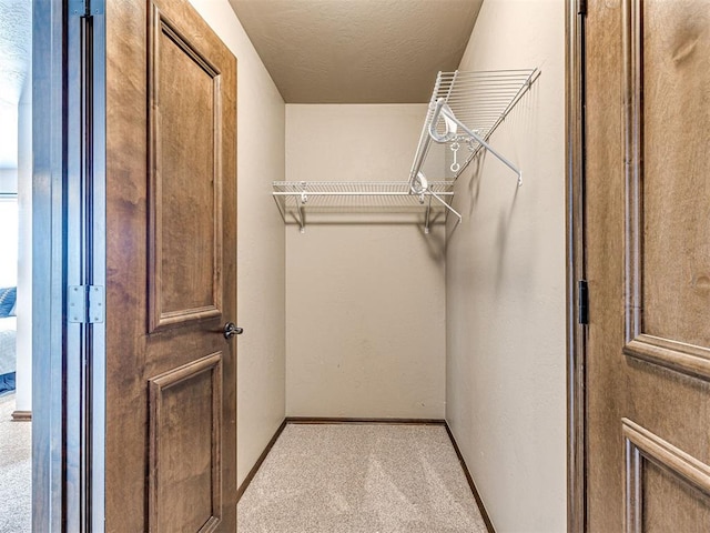 walk in closet with light colored carpet