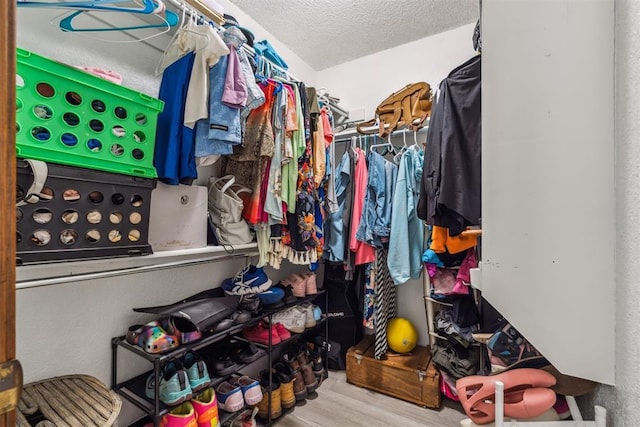 walk in closet featuring wood finished floors