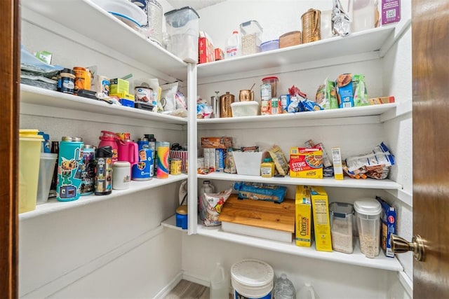 view of pantry