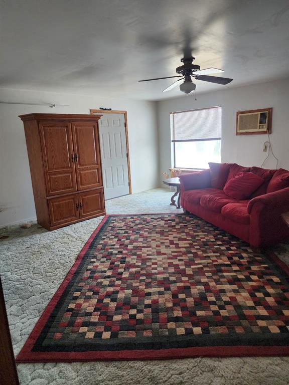 6095 County Road 1340th Rd, Carnegie, OK 73015 - photo 8