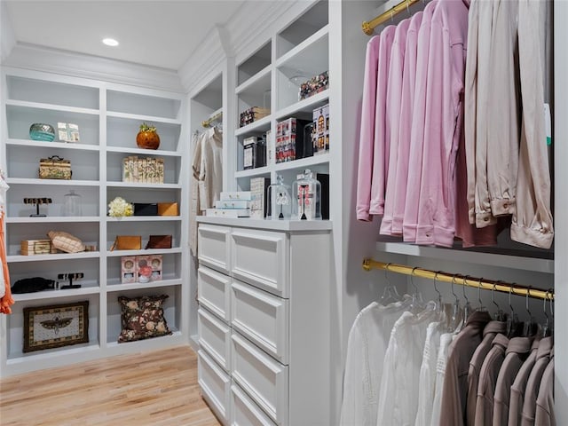 6119 NW Grand Blvd, Oklahoma City, OK 73118 - spacious closet with light wood-style floors