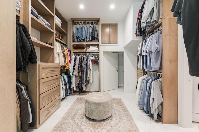 view of walk in closet
