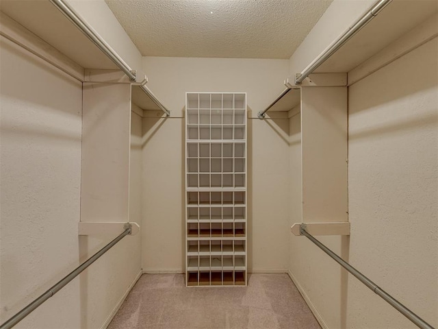 8709 NW 86th St, Oklahoma City, OK 73132 - walk in closet with light colored carpet