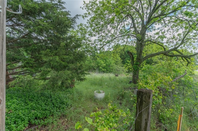 39761 State Highway 59, Byars, OK 74831 - view of nature