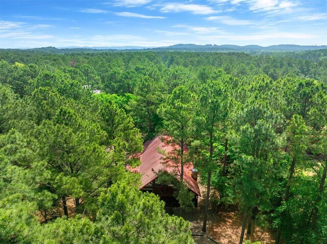 479 Poplar Cir, Broken Bow, OK 74728 - bird's eye view of a heavily wooded area and mountains