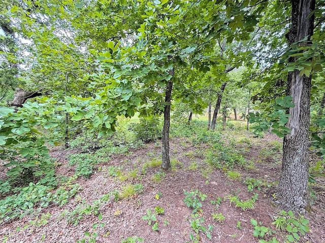 13901 E Andrew Ln, Newalla, OK 74857