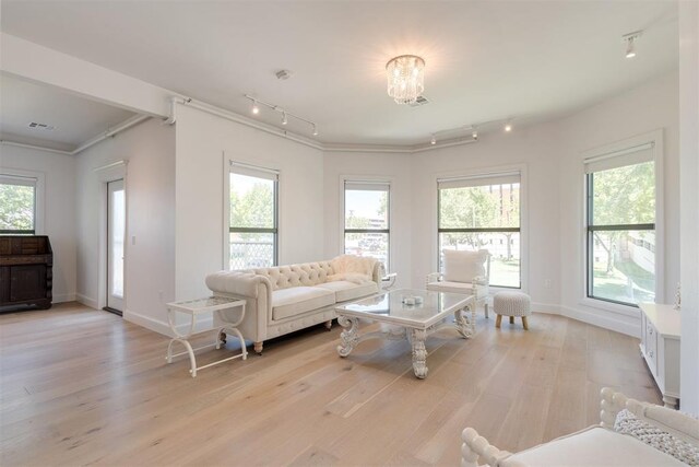 614 NW 8th St Unit 1-4, Oklahoma City, OK 73102 - living area featuring rail lighting, light wood-type flooring, baseboards, and crown molding