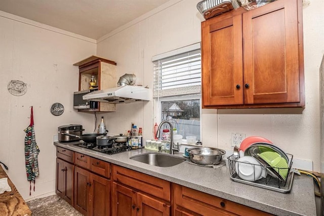 10015 S Bryant Rd, Henryetta, OK 74437 - kitchen with a sink, open shelves, black gas stovetop, ornamental molding, and under cabinet range hood