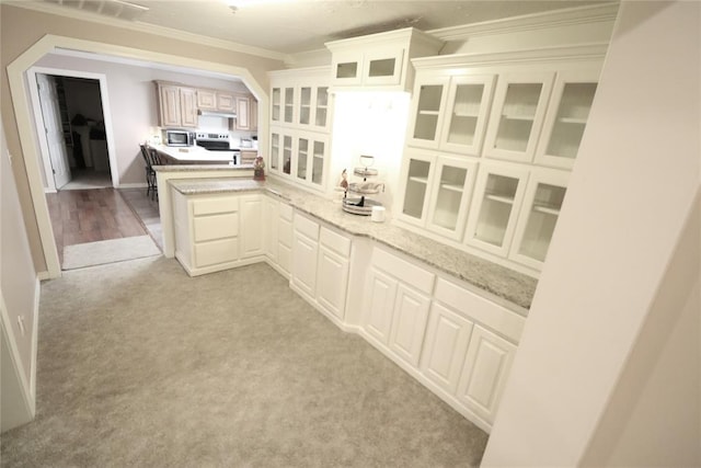 kitchen featuring stainless steel appliances, under cabinet range hood, ornamental molding, glass insert cabinets, and a peninsula