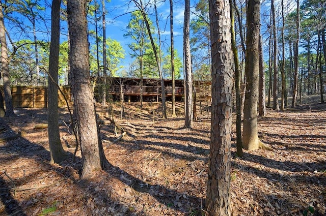 view of undeveloped land