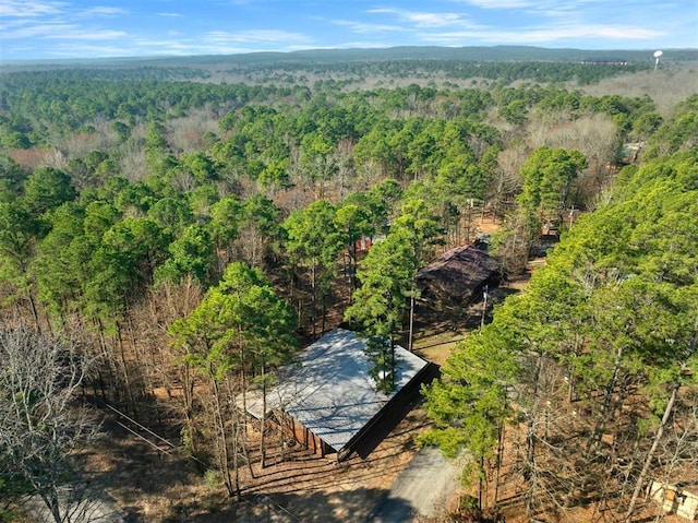 80 Rosy Minnow Rd, Broken Bow, OK 74728 - aerial view of a forest