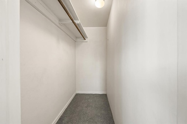 2545 W Eubanks St, Oklahoma City, OK 73112 - walk in closet with carpet flooring
