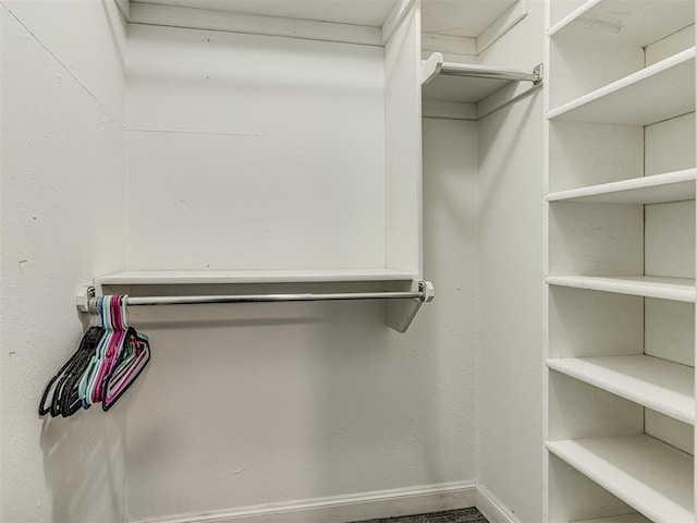 view of spacious closet