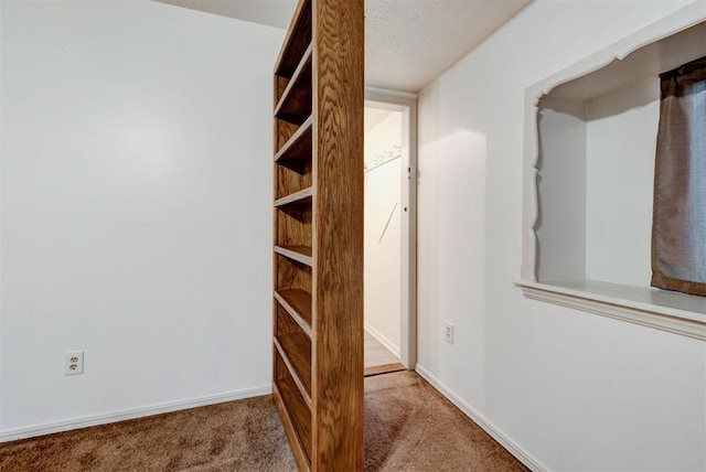 walk in closet featuring carpet floors