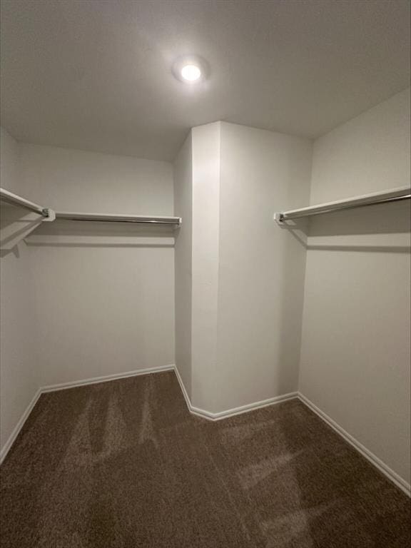 866 SW 11th St, Newcastle, OK 73065 - spacious closet featuring carpet floors