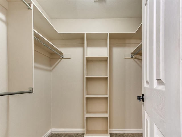 view of walk in closet