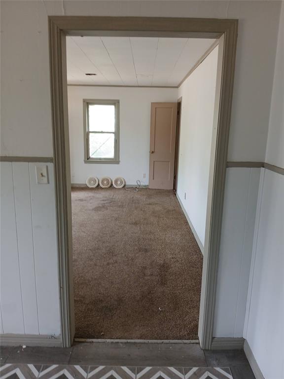 unfurnished room featuring carpet