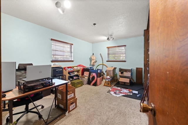 3926 Briarcrest Dr, Norman, OK 73072 - carpeted home office with a textured ceiling