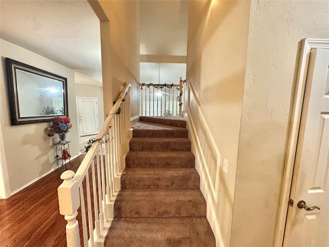 staircase featuring wood finished floors