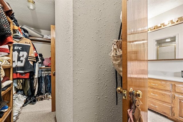 8109 Dawn Cir, Oklahoma City, OK 73135 - spacious closet with carpet floors