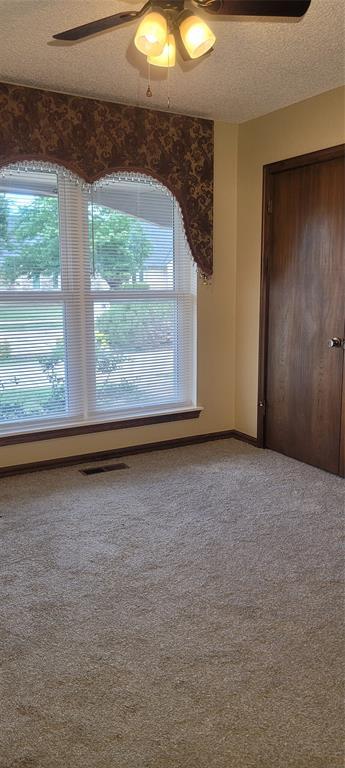 spare room with plenty of natural light, a textured ceiling, carpet flooring, and ceiling fan
