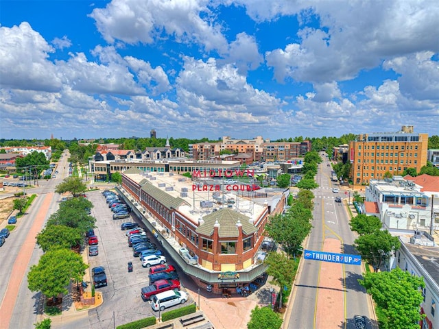 bird's eye view