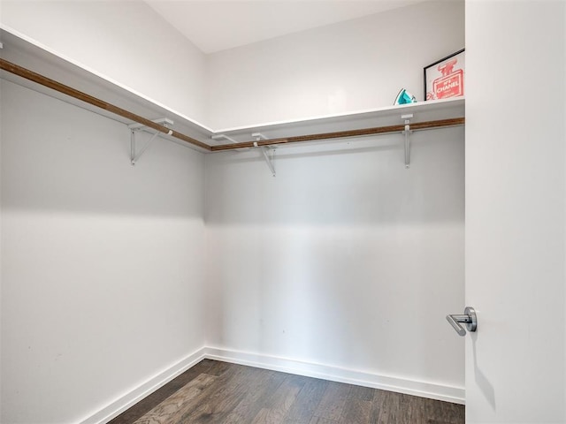 spacious closet with dark wood finished floors