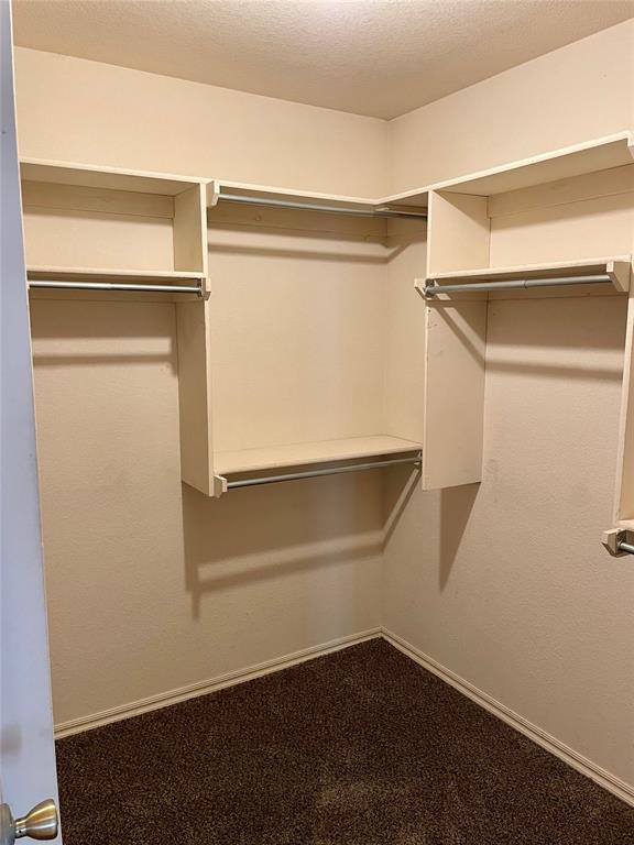 3113 SW 125th St, Oklahoma City, OK 73170 - walk in closet featuring dark colored carpet