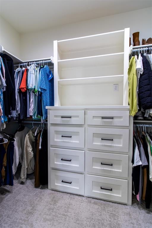 spacious closet featuring carpet floors