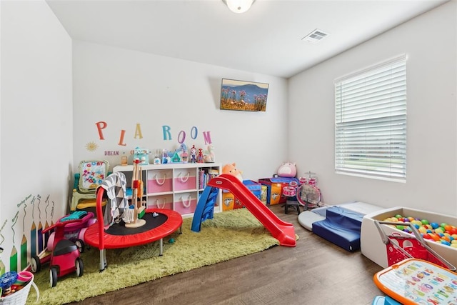 rec room featuring wood finished floors