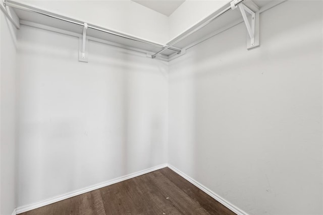 walk in closet with dark wood finished floors