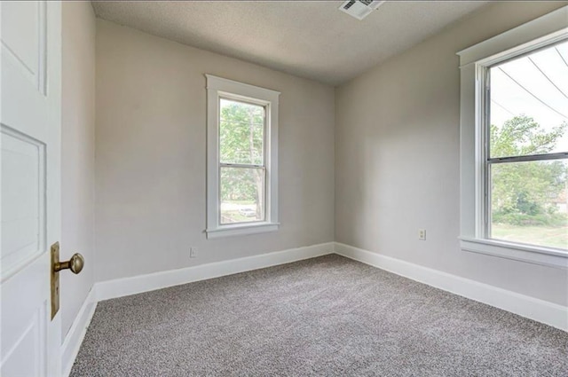 312 S Ash St, Guthrie, OK 73044 - empty room with plenty of natural light, carpet, baseboards, and a textured ceiling
