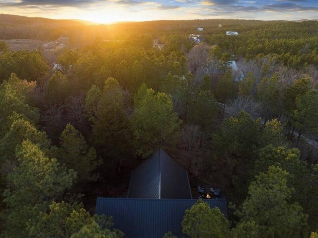 2427 Camp Ranch Rd, Broken Bow, OK 74728 - aerial view of property's location with a forest