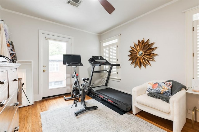 exercise area featuring healthy amount of natural light, light wood-style floors, crown molding, and ceiling fan