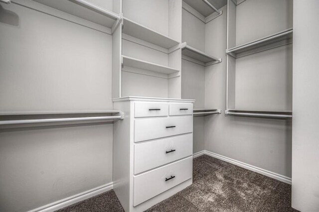 walk in closet with dark carpet