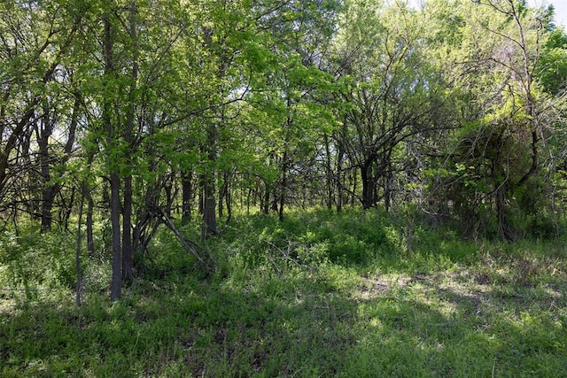 7 SE Lenapah St, Skiatook, OK 74070