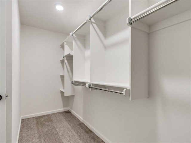 959 SE 16th Ter, Newcastle, OK 73065 - walk in closet featuring carpet flooring