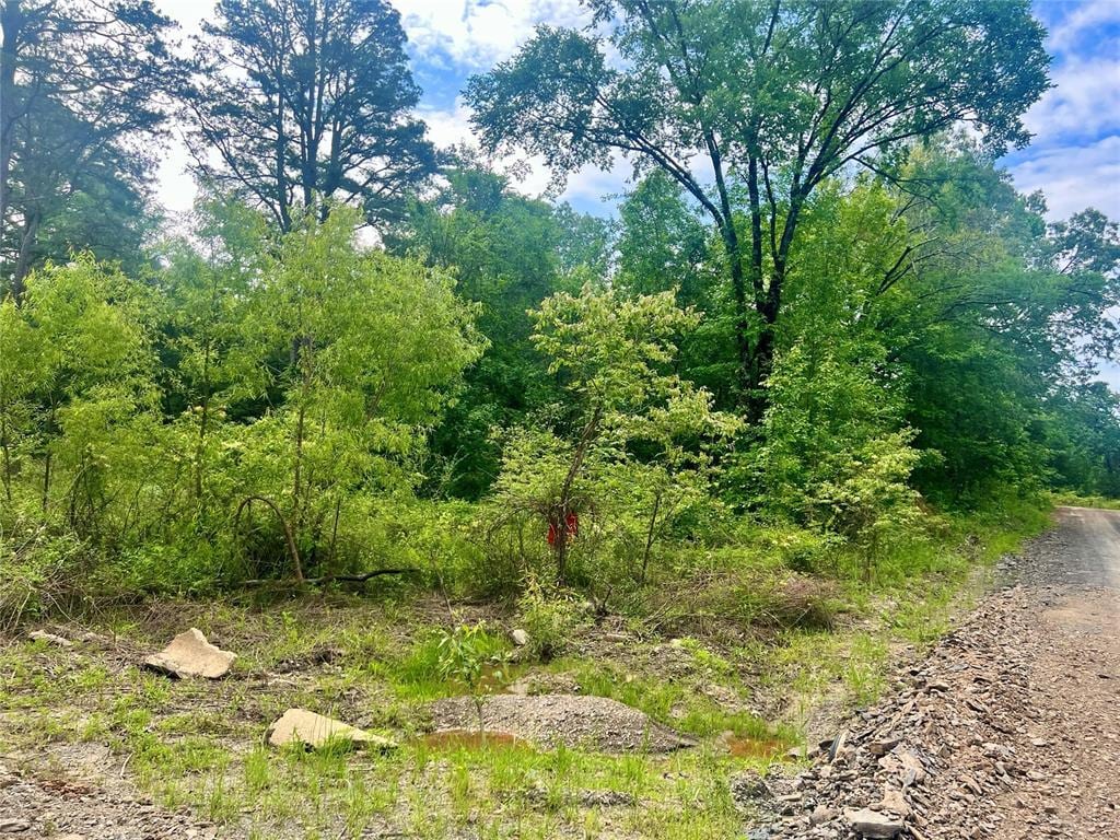 48 N Dana Bell Rd, Broken Bow, OK 74728