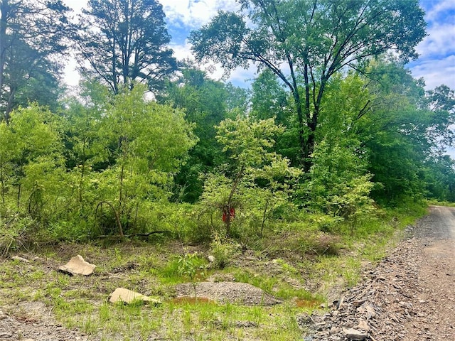 48 N Dana Bell Rd, Broken Bow, OK 74728