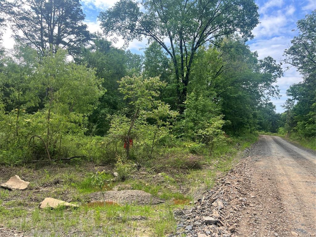 48 N Dana Bell Rd, Broken Bow, OK 74728