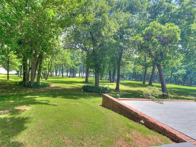 view of community featuring a lawn