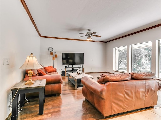 living room featuring crown molding, a ceiling fan, and light wood-type flooring