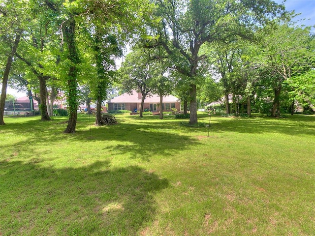 view of grassy yard