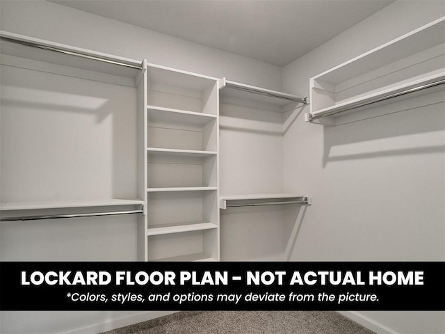 8609 NW 76th St, Oklahoma City, OK 73132 - view of spacious closet